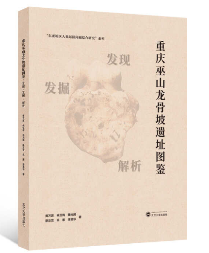《重庆巫山龙骨坡遗址图鉴：发现·发掘·解析》封面，米色底配遗址主题视觉